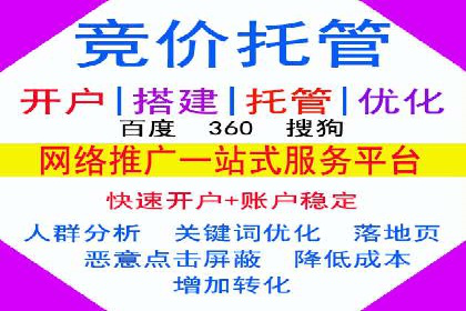 某品牌SEM广告的蜕变——代运营公司的力量